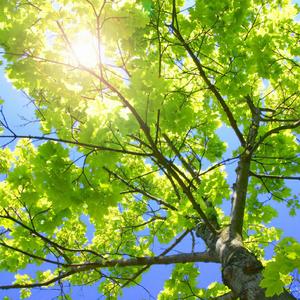 成人免费视频❌❌❌在线观看
